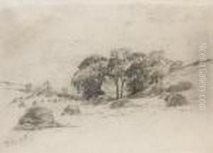A Hayfield