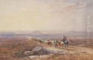 On A Highland Moor by David I Cox