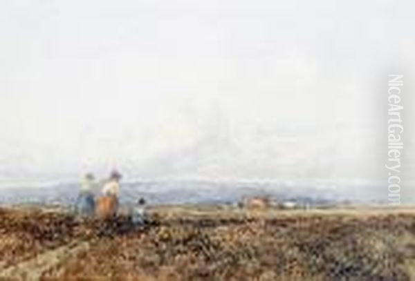 Vale Of Clwyd - view 1