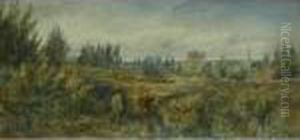 A Rural Landscape
