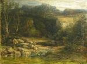 In The Lledr Valley
