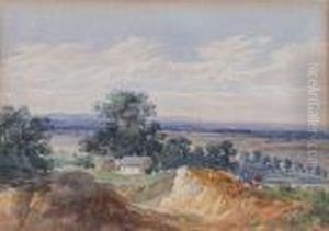 Hampsted Heath