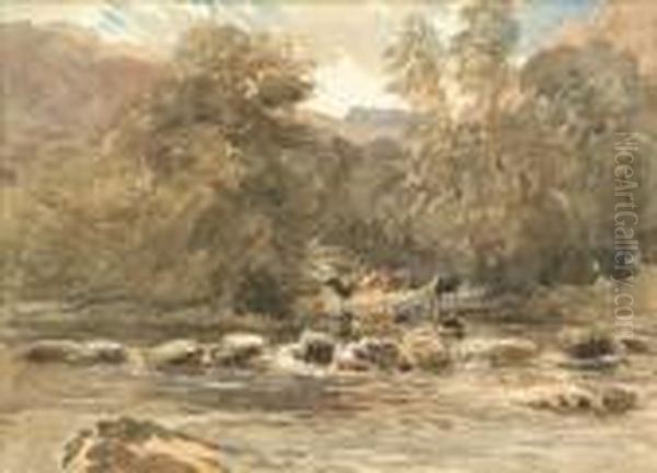 Wooded Scene Cattle Watering - view 1