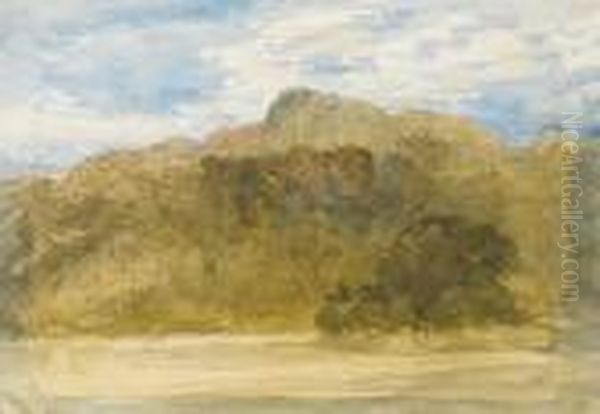 A Hillside With Trees - view 1