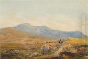 Cader Idris