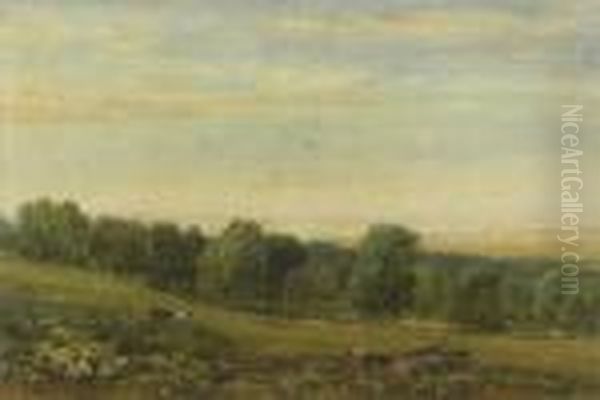 O.w.s. Bodllwyddon, Near St. Asaph - view 1