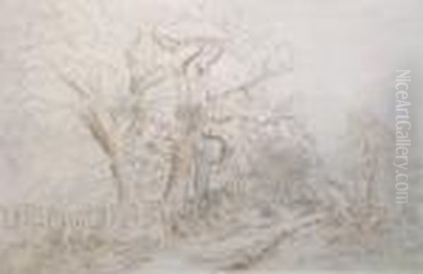 A Wooded Landscape - view 1