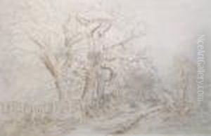 A Wooded Landscape A Wooded Landscape