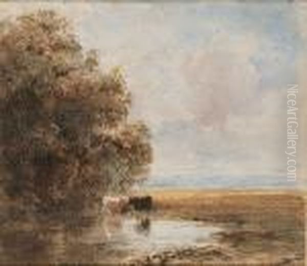 Cattle Watering At A Pool - view 1