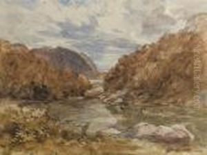 Pont-y-pair, Near Bettws-y-coed, Wales by David I Cox