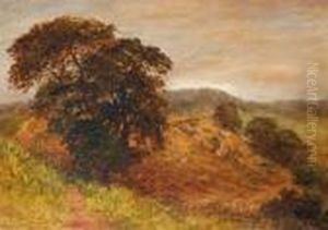 The Youngerhillside Landscape The Youngerhillside Landscape