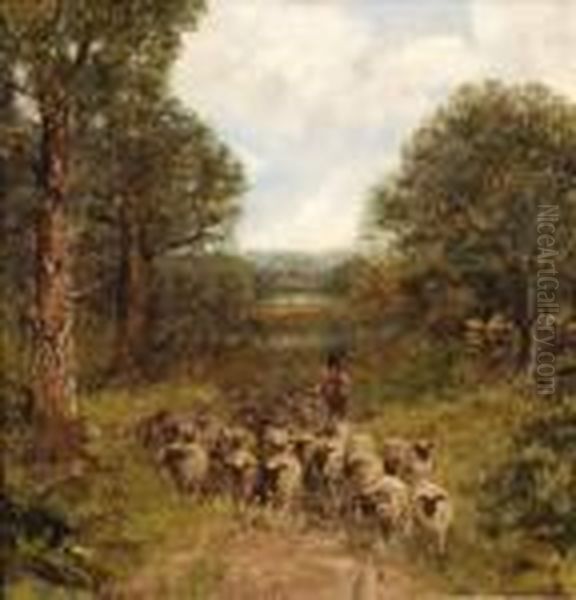 A Lane In Wales - view 1