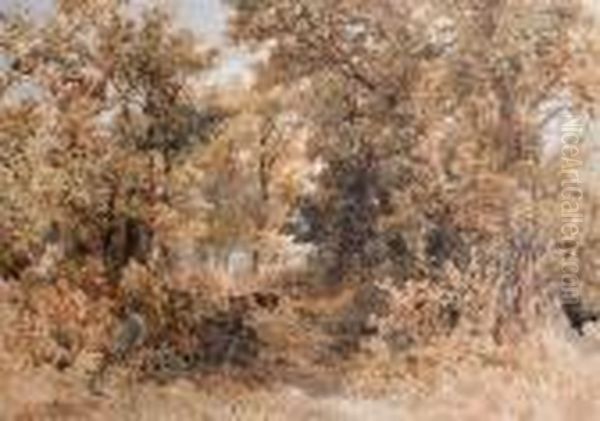 The Skirts Of A Common - view 1