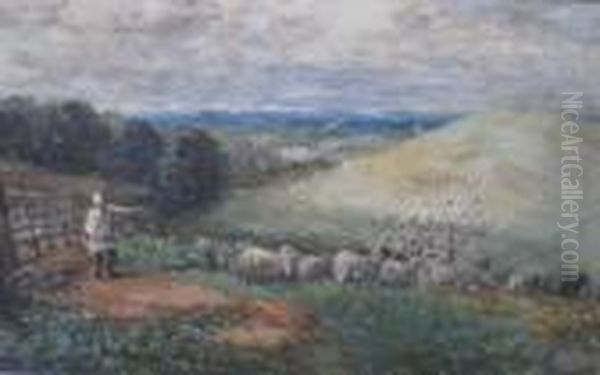 And Sheep - view 1