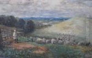 And Sheep And Sheep