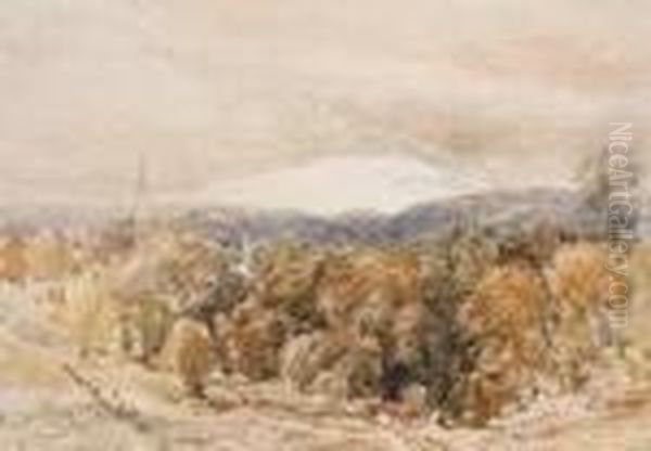 Village In Wooded Mountain Landscape - view 1
