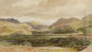 Foothills Landscape