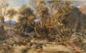The Fisherman's Path by David Cox