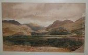Extensive Landscape