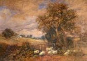 Sheep In A Landscape