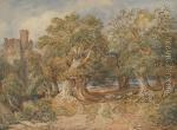 Near Bawley, Staffordshire - view 1