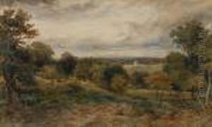 A View Of Richmond Park