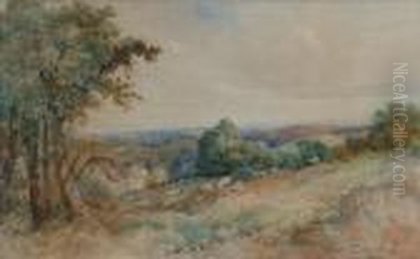 Sheep On Ahillside - view 1