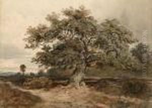 Old Tree With Distant Landscape by David Cox