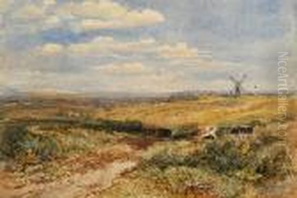 Cattle In An Extensive Coastal Landscape - view 1