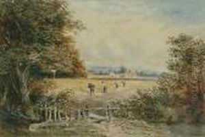 Harvesting by David Cox