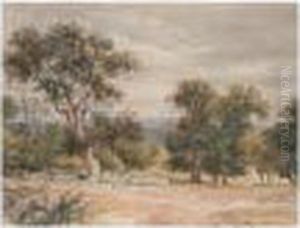 Landscape With Trees