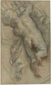 Study Of A Putto