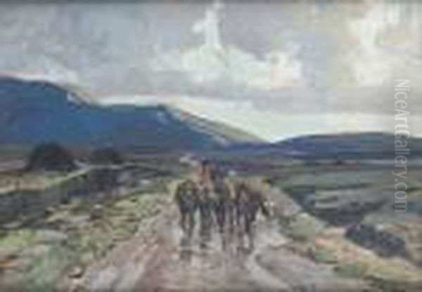 Altnabrocky, Co. Mayo - view 1