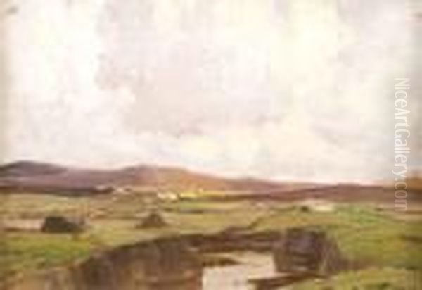 Boglands
Donegal - view 1