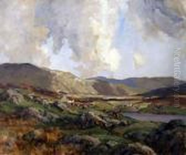 The Donegal Highlands - view 1