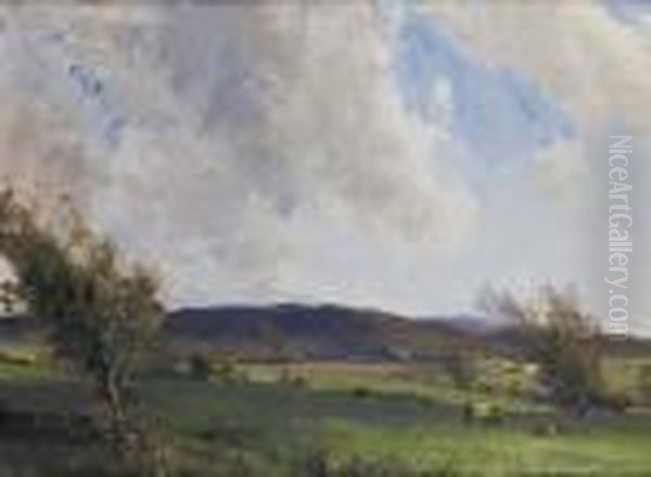Cattle Grazing In Pasture - view 1