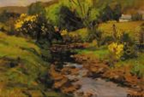 The Brablagh Burn, Cushendun, County Antrim - view 1
