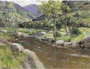 River Scene River Scene