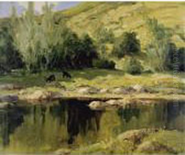 Early Summer, Glendun - view 1