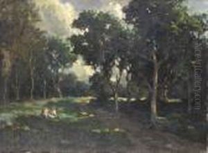 Picnic In The Woods