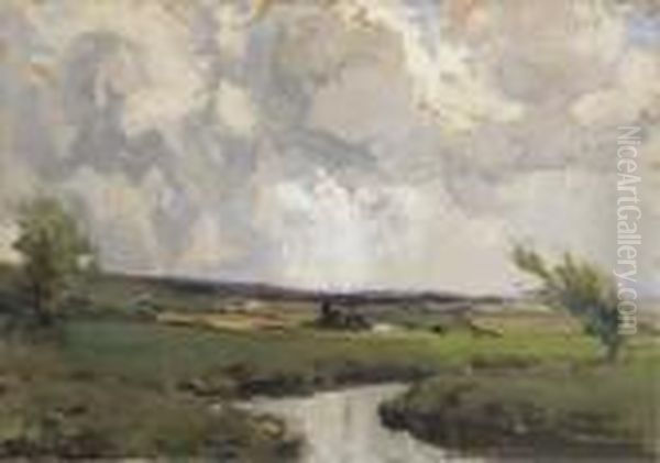 The Meandering River - view 1