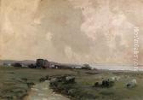 Coastal Landscape With Sheep - view 1