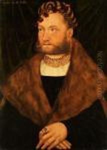 Portrait Eines Bartigen Mannes by Lucas The Elder Cranach