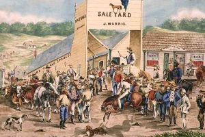 J Morris Saleyard by Theodore K. King