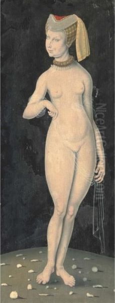 Venus - view 1