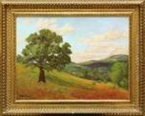 Landscape With Tree
