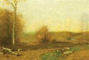 Late Afternoon In Autumn