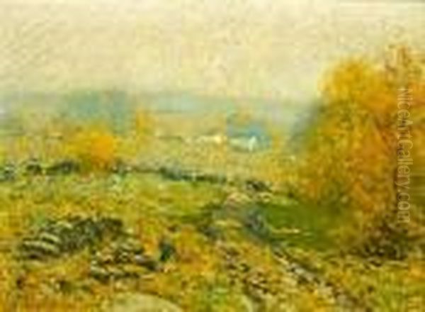 Landscape - view 1