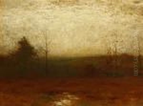 Tribute To Night - view 1