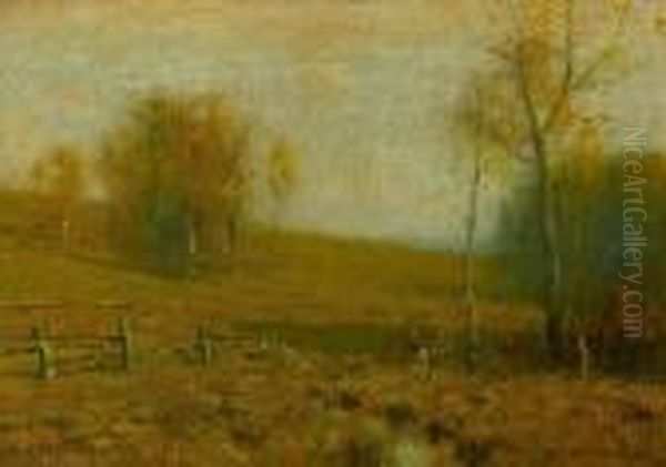 Late Autumn - view 1